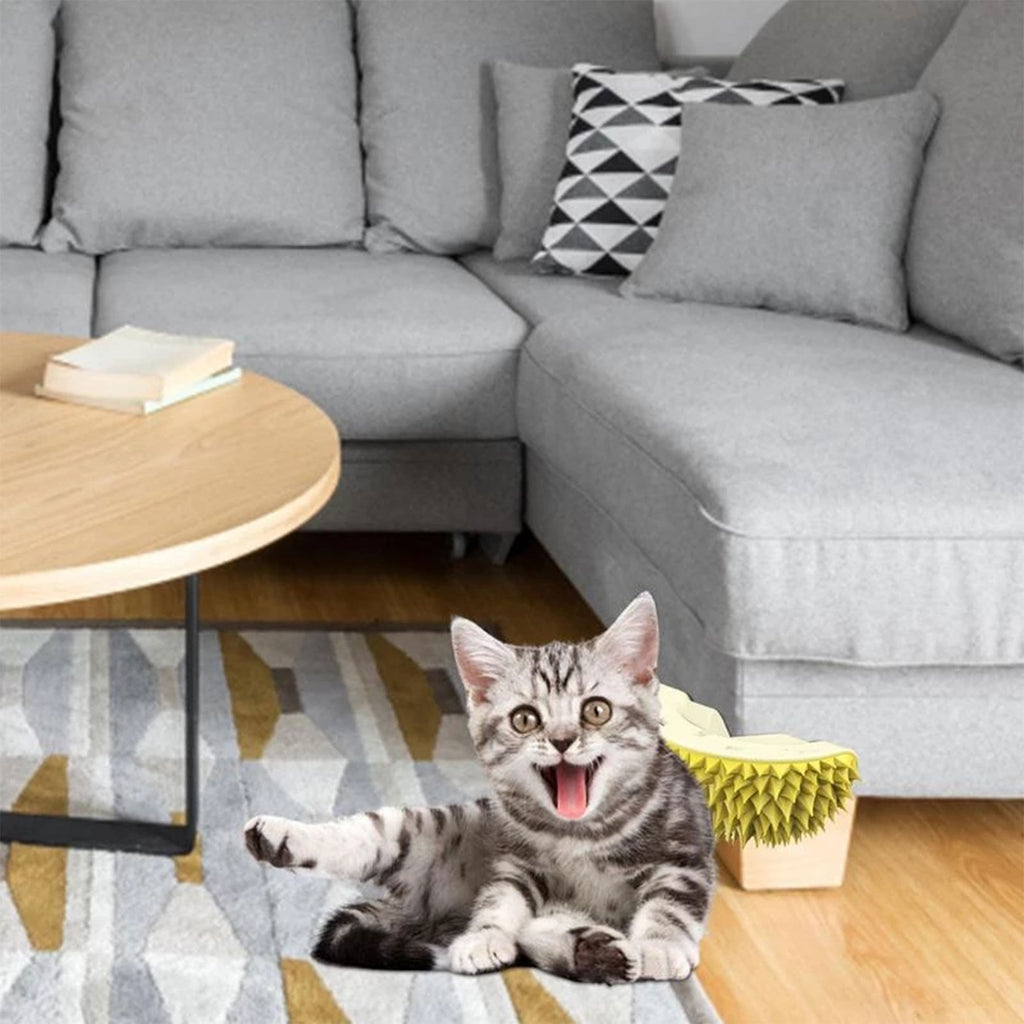 Turn Any Corner Into Your Cat’s Favorite Massage Spot