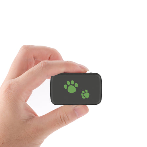 Pet GPS Tracker-Never Lose Your Furry Friend